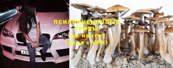 mdpv Карпинск