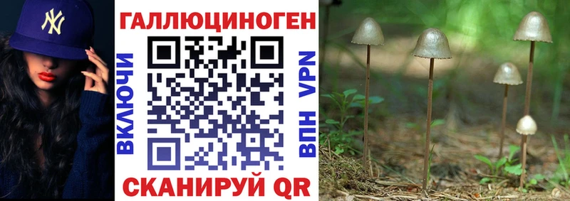 Галлюциногенные грибы ЛСД  Купить где  Удомля 